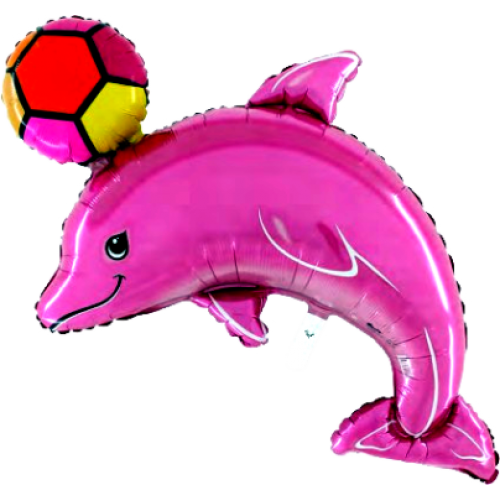 Balón  Delfín s loptou
