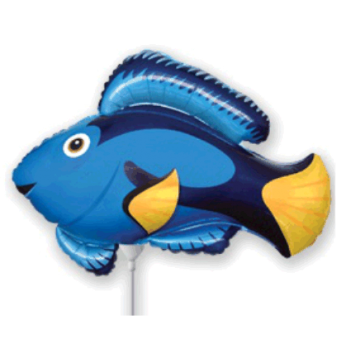 Balónik Ryba modrá