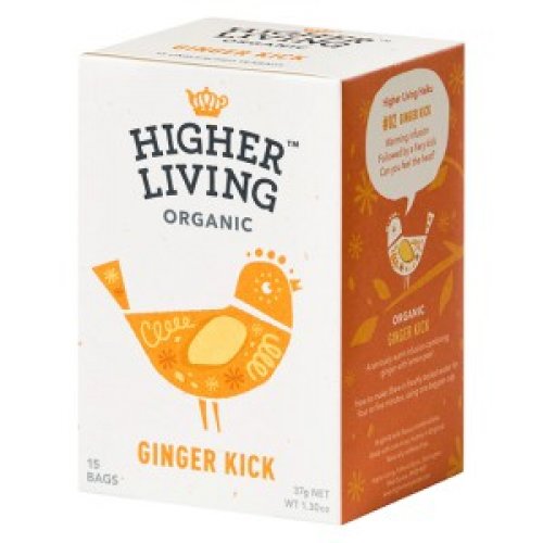 Zázvor 37g (15 vrecúšok)