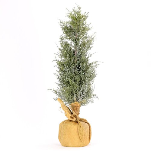 Stromček  70cm - Vianočné dekorácie