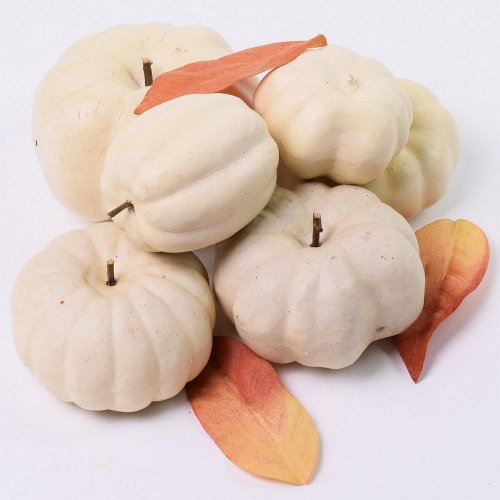 Tekvice biele sieťka s/6