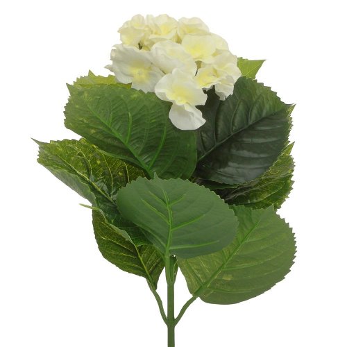 25flk0819 hydrangea zápich 50cm ks