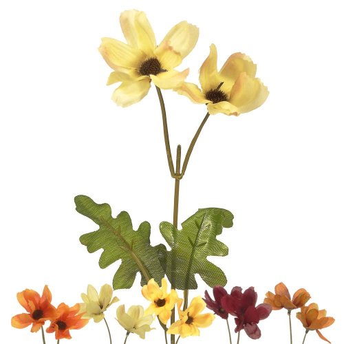 25020345 margarétka ks kvet 5f 33cm