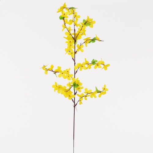 Ks zlatý dážď 66cm/11