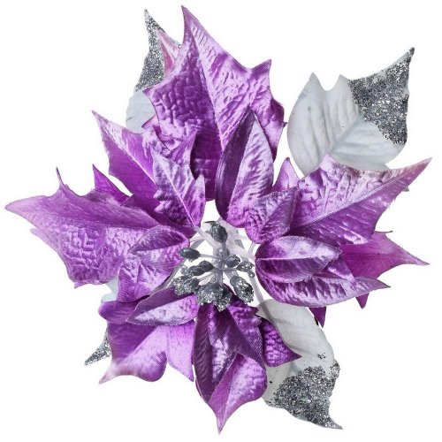 Poinsettia klip lav-01 lila 20cm super cena