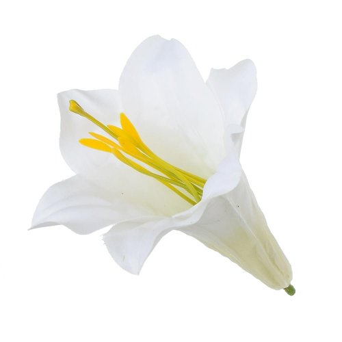 Hlava ľalia wh101/8 11cm