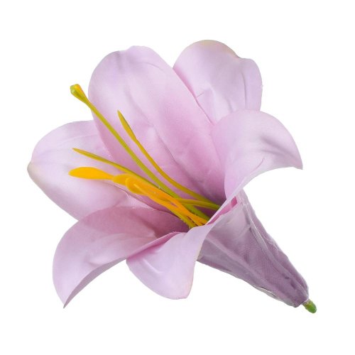 Hlava ľalia 11cm bal:12ks