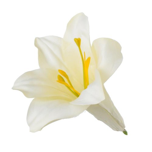 Hlava ľalia wh1752/3 11cm