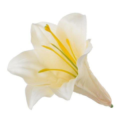 Hlava ľalia yl27125/3 11cm