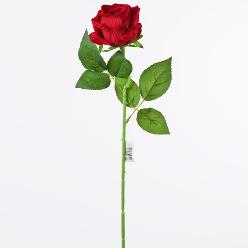 Ldj02 ks ruža zamat.