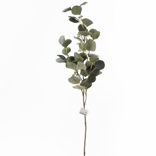 Konár eucalyptus populus plody 86cm - Umelé kvety