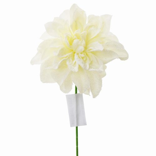 Ks dahlia vian. biela sneh