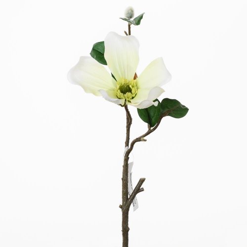 Konár magnólia 36cm biela