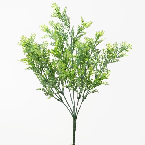 Zápich thuja 37cm