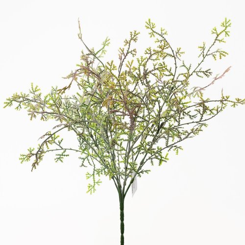 Zápich thuja ružovkastá 36cm