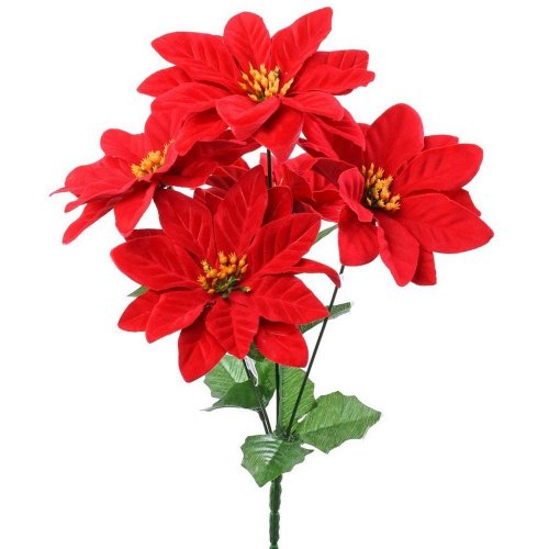 Kytica poinsettia červená x5 35cm