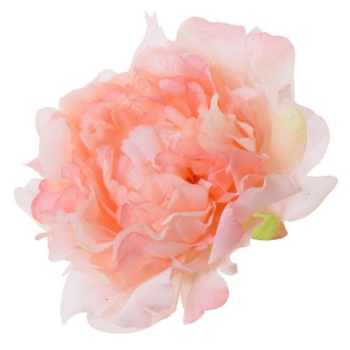 Hlava pivónia ružová p:12cm bal:12ks