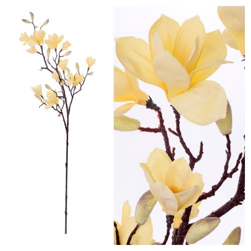 Konár magnólia kvet žltý 155cm