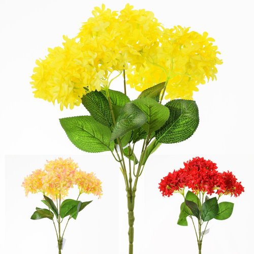 Hortenzia kytica mix 3 f 48cm