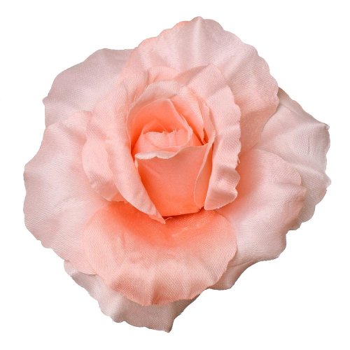 Hlava ruža lososová p:10cm bal:12ks