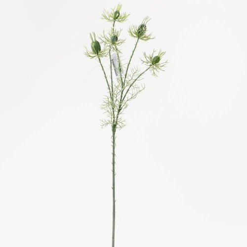 Konár nigella bl.zelená 60cm