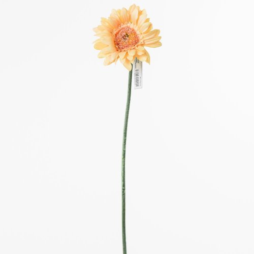 Ks gerbera lososová 45cm