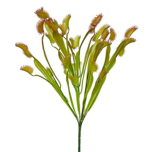 Zápich mäsožravka 39cm