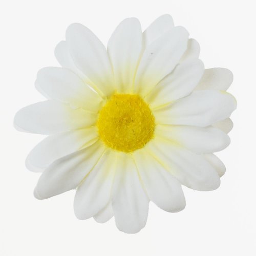 Hlava margarétka biela p:7cm bal:100ks