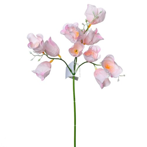 Ks zvonček ruž. 35cm