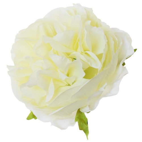 Hlava ruža anglická biela p:9cm bal:12ks