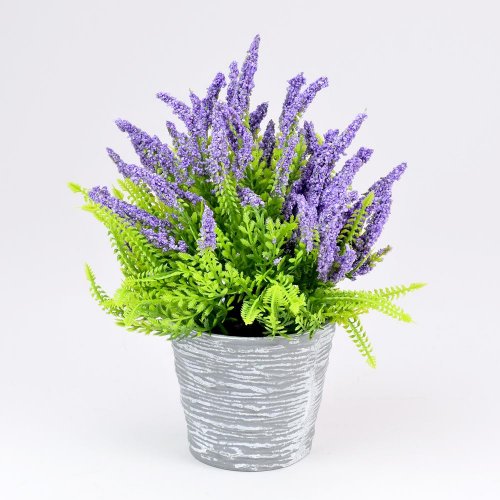 Levanduľa v črepníku fialová 23cm