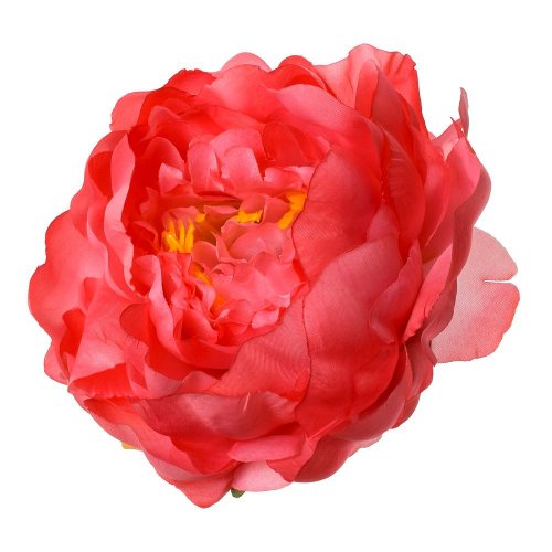 Hlava pivónia koralová p:10cm bal:12ks