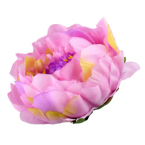 Hlava pivoňka krém ružová priem:10cm bal:12ks