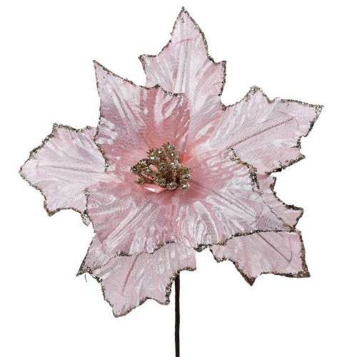 Ks poinsetia st.ruž.