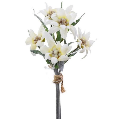 Ks poniklec biely 23cm