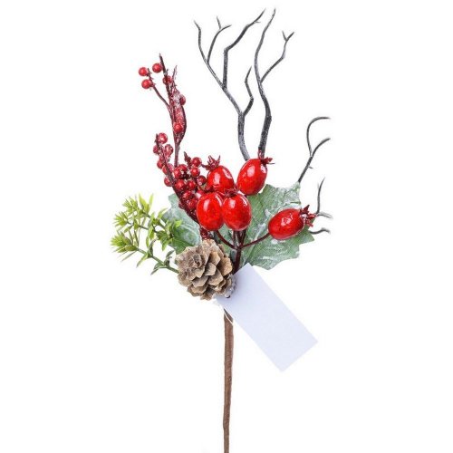 Zápich červ bobule