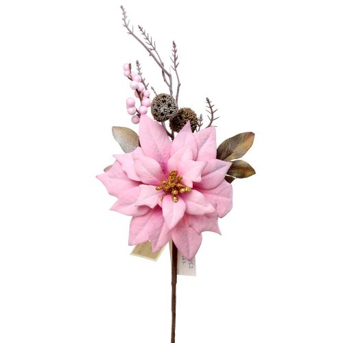 Ks ruža vianočná ružová 36cm