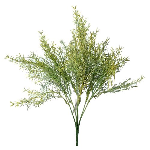 Zápich asparagus oranžový 37cm