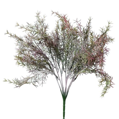 Zápich asparagus fialový 37cm