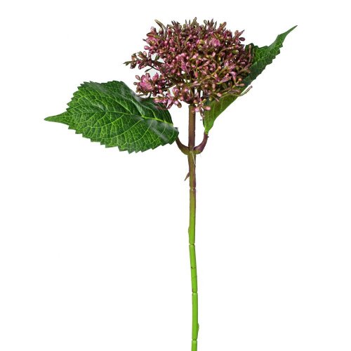 Ks hortenzia ružová 39cm