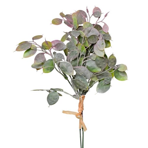 Zápich lunaria fialová zv/5 32cm