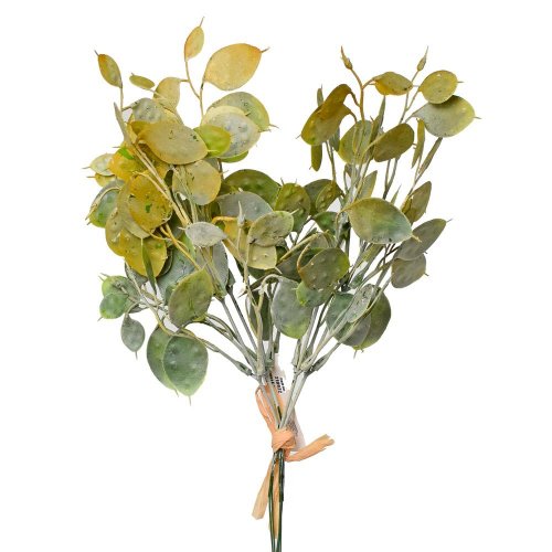 Zápich lunaria zelená zv/5 32cm