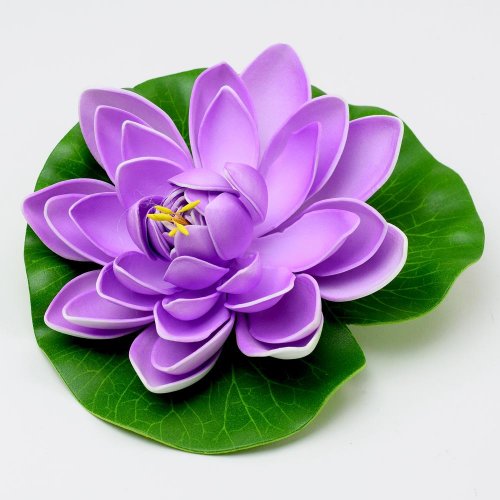 Hlava lekno do jazierka levand. 18cm