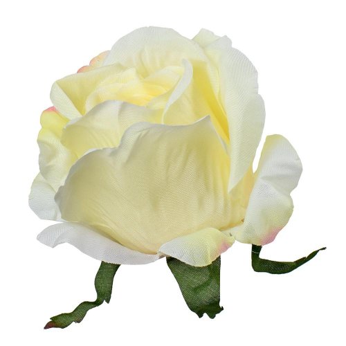 Hlava ruža krémova ruž. konce p:8cm bal:12ks