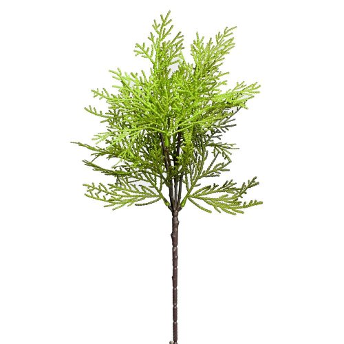 Zápich thuja  44cm