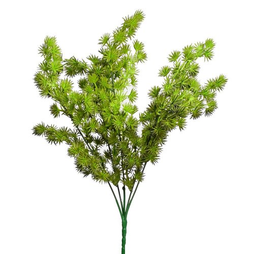 Zápich asparagus umbellatus 36cm