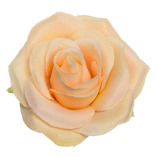 Hlava ruža marhuľová p:7cm bal:24ks