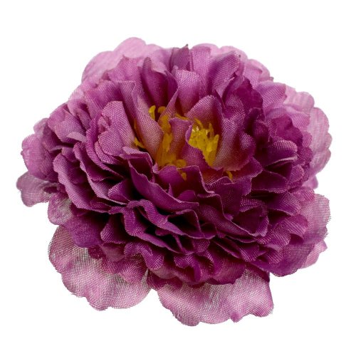 Hlava pivónia fialová p:8cm bal:24ks