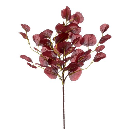 Zápich eukalyptus tm.čer.