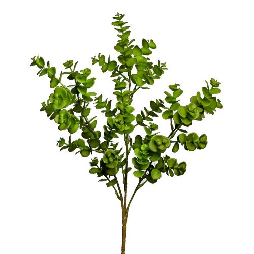 Zápich eukalyptus zelený 35cm